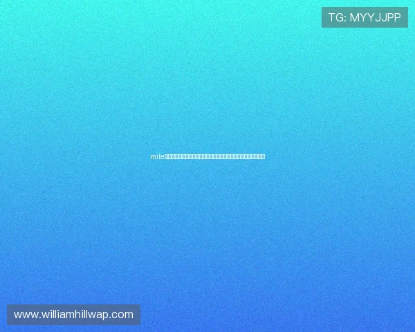 mite娱乐版存档在世界杯报道中的优势分析及提升用户体验的实用建议